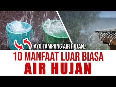 Video: Teknologi Pertanian Pada Musim Panas Yang Sejuk Dan Hujan