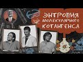 Энтропия молекулярного котангенса. Семинар №2