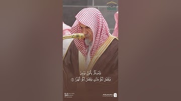 مقتطف من تلاوة معالي الشيخ د. ⁧ #صالح_بن_حميد ⁩من صلاة الفجر 27 ذو القعدة  1446هـ.