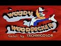 Woody Woodpecker Theme Song 1962 1972 
