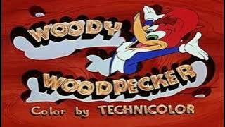 Woody Woodpecker Theme Song (1962-1972)
