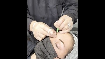 Softap Permanent Make Eyebrow Demo Powered by Masters At Werk Esthetics. NY Instructors