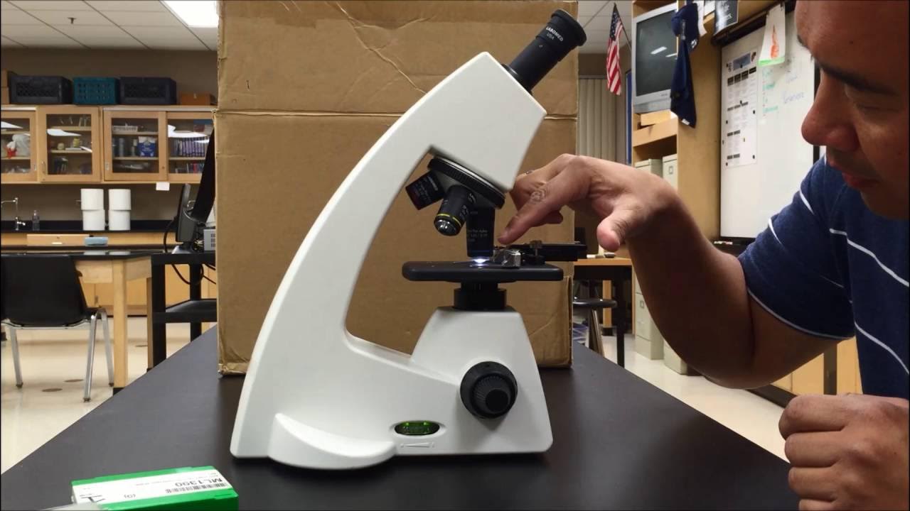 How To Use a Compound Microscope YouTube