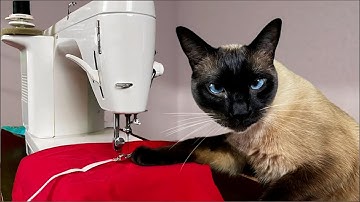 Random Animation Live Action Compilation Part 10