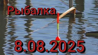 Рыбалка на поплавок 8 августа 2025 г. На лесном озере!Он Здесь!Крупный Карась под корягами.Рыбалка