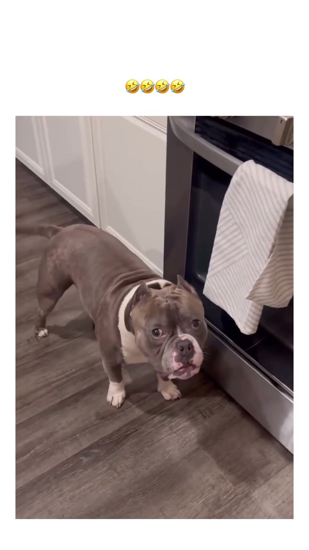 Doggyo like it must be done I am sorry