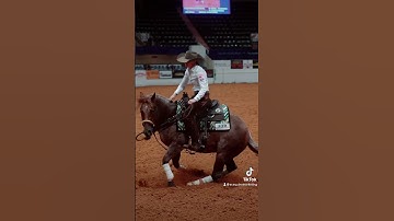 Hazardouz Material Erin Taormino ECE Celebration of Champions 2022 Hackamore prelims