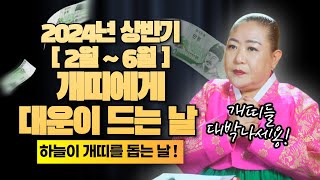 2024년 상반기 (2월~6월) 개띠에게 대운이 들어오는 행운의날 이 날 절대로 놓치지 마세요! / 일산용한…