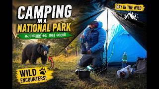 🏕️കസാക്കിസ്ഥാൻ നാഷണൽ പാർക്കിനുള്ളിൽ തനിച്ച് ഒരു ക്യാമ്പിംഗ് #travel #mountains #camping