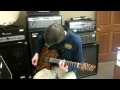 Godin Flat Five Demo Nationalpawnwi