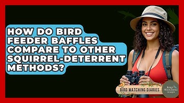 How Do Bird Feeder Baffles Compare To Other Squirrel-deterrent Methods? - Bird Watching Diaries