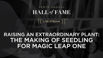 Raising an Extraordinary Plant: the Making of Seedling for Magic Leap One