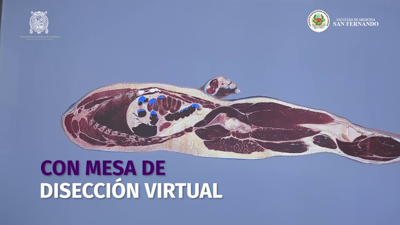 Mesa de Disección Virtual - Facultad de Medicina San Fernando