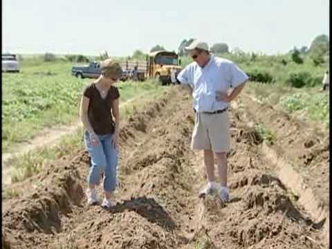 Video: Kaip pateikti ieškinį NC Farm Bureau?