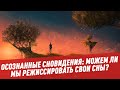 Осознанные сновидения: можем ли мы режиссировать свои сны? - Сон