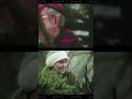 Cutting Down a Christmas Tree 1972