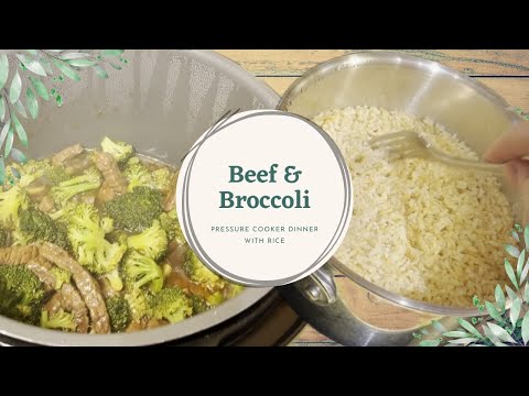 Instant Pot Beef and Broccoli with Rice YouTube