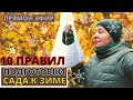 10 ПРАВИЛ подготовки сада к зиме. Прямой эфир