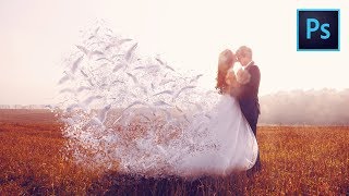 Photoshop Dispersion Effect Tutorial (Birds & Dress)