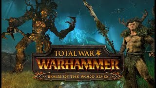 Total War: Warhammer II Лесные эльфы #3 - Война против Орков+планы на развитие? DUO Total War: Warhammer II Лесные эльфы #3 - Война против Орков+планы на развитие? DUO