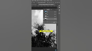 Tree Selection - Short Photoshop Tutorial