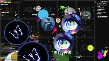 Only gig 3 player (Agma.io)