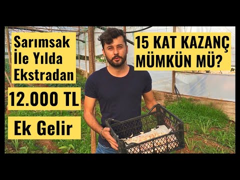 Video: İş Fikri: Büyüyen Sarımsak