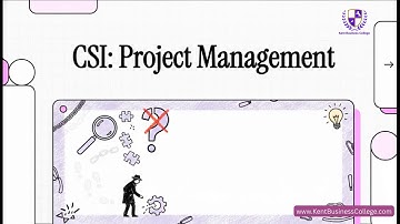 The NHS National Programme for IT – A Risk Management Perspective