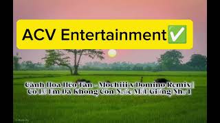 Information Cánh Hoa Héo Tàn - Mochiii x Domino Remix | Có Lẽ Em Đã Không Còn Nước Mắt |Giống  ACV Entertainment News