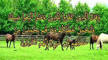 ما تيسر من سورة العنكبوت بصوت القارئ الشيخ عبد الرحمن البوريني - صلاة التراويح