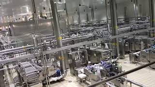 Kepo in pabrik pembuatan ice cream aice