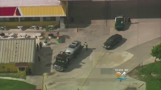 Investigators Find Man’s Body In The Everglades