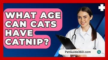 What Age Can Cats Have Catnip? - PetGuide360.com
