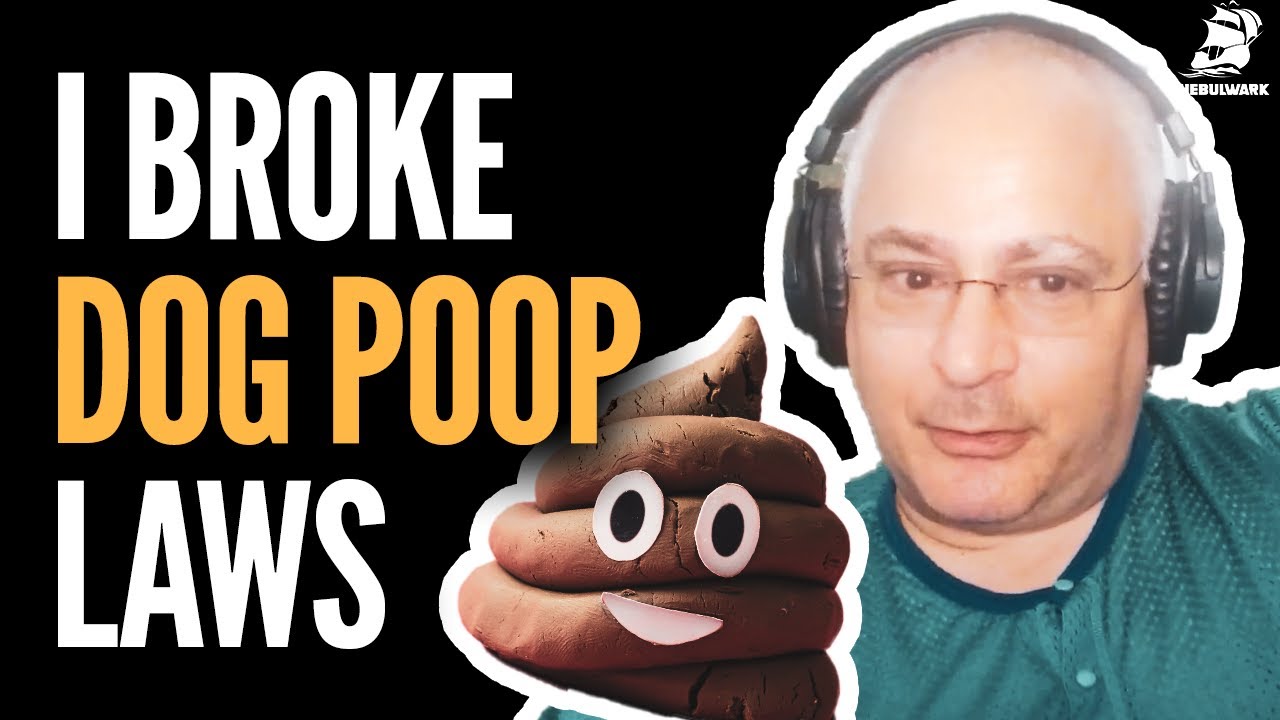 Karen Throws Dog Poop at Ben Wittes The Bulwark Podcast Clip YouTube