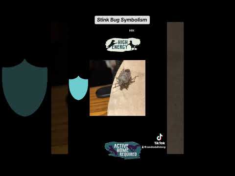 Stink Bug Symbolism