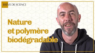 Que sont les polymères biodégradables