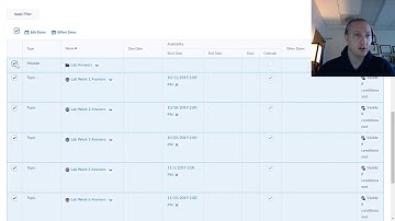 How to bulk update dates in Brightspace