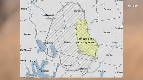 MDIFW reduces size of PFAS 'Do Not Eat' advisory area in Fairfield