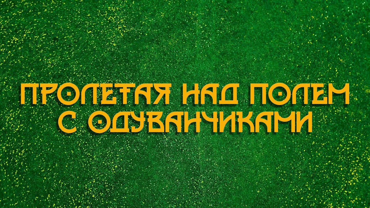 Пролетая над полем с одуванчиками - YouTube