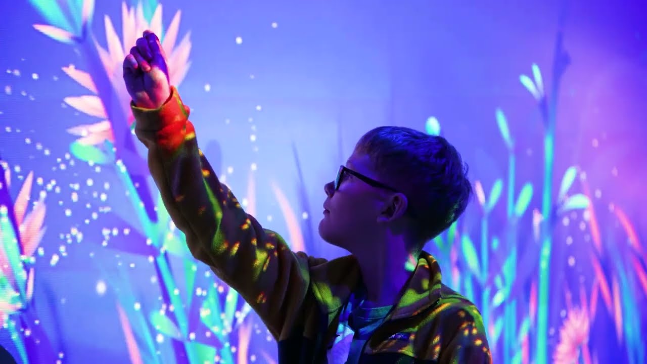 Dream Garden - The Tech Interactive