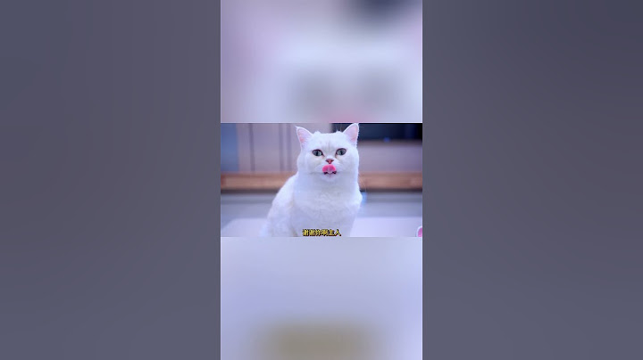 小猫咪收到一封信，竟然是从天堂寄来的#猫咪 #铲屎官 #猫主子 #七宝小圆子