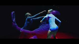 Richard Raw - Are We Insane featuring Saniyah Nicole