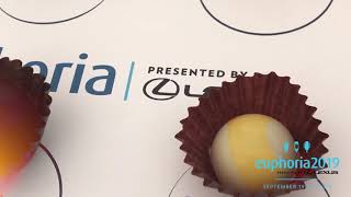 Euphoria 2019 Greenville- sizzle promo