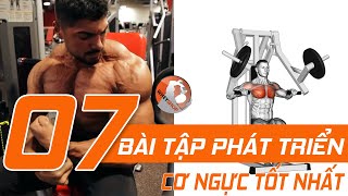 7 Bi Tp  Ngc Pht Trin C Ngc Tt Nht I Wheyshopvn