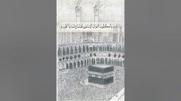 سورة النساء | سعد الغامدي | تلاوة وقراءة جميلة وخاشعة وهادئه