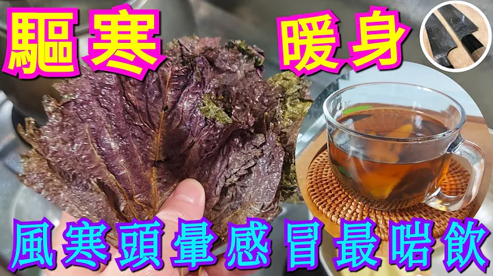 圓規風暴🌀煞到🌪好容易攝親🤧頭暈感冒🤒特別剪輯推介🙋🏻‍♂️ 驅寒暖身💪🏼抗炎 增強免疫力⭐見效快💁🏻‍♂️【紫蘇葉薑茶】大家要保重身體啊💪🏼 - 天天要聞