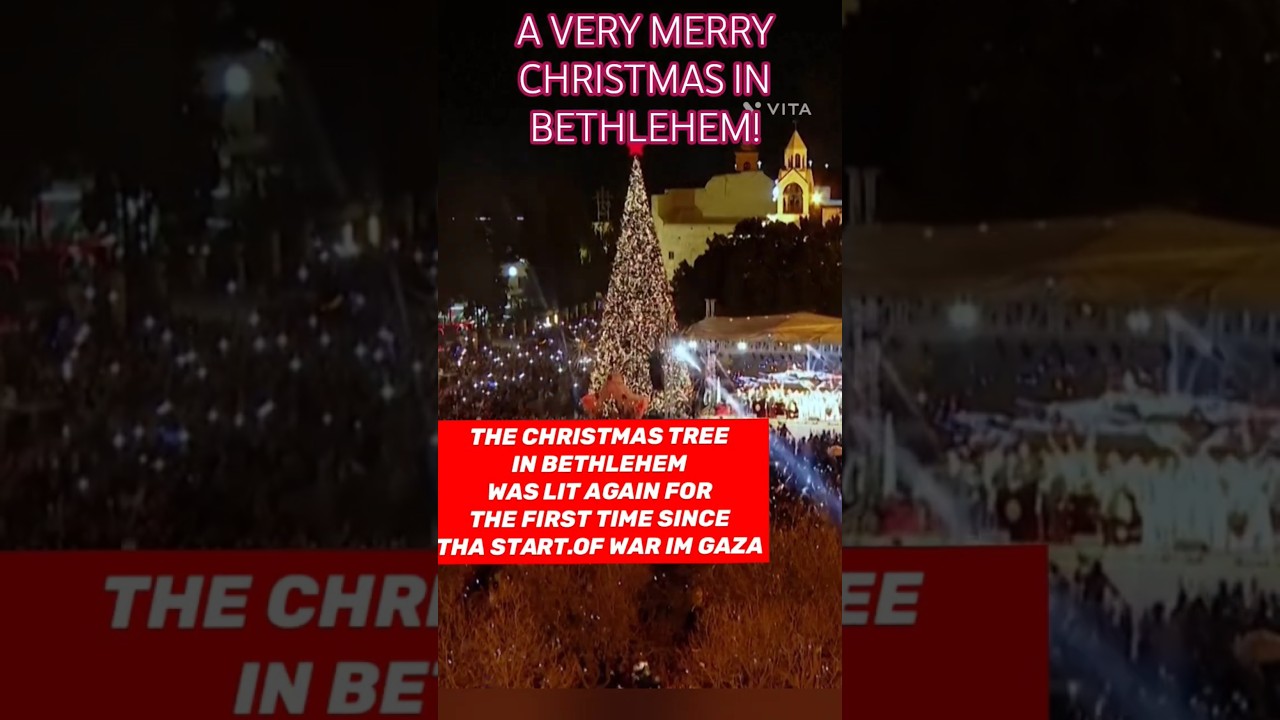 Впервые после начала войны в Газе в Вифлееме зажгли рождественскую елку! 