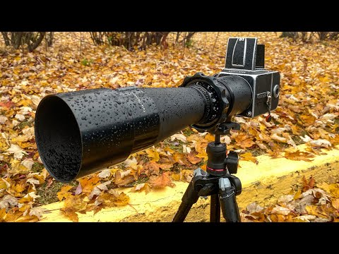 ハッセルブラッド　テレテッサー500mm  f8 望遠レンズ ハッセルブラッド】のテレテッサーC 500mm F8で富士山を切り取っ