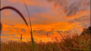 【抖音原版】End (Interlude) - 温柔释怀 -