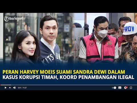 Peran Harvey Moeis Suami Sandra Dewi Dalam Kasus Korupsi Timah, Koordinir Penambangan Ilegal